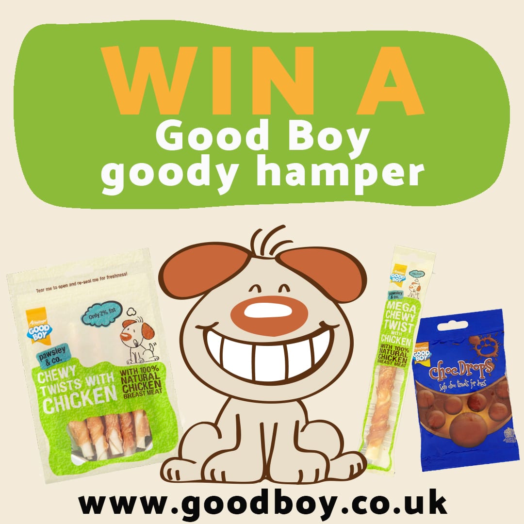 WIN a Good Boy goody hamper